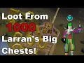 Loot From 1000 Larran s Big Chests