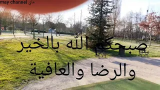 صبحكم الله بالخير والرضا والعافية 