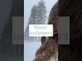 Winter Wallpapers Screenshot and crop