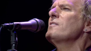 Download BOLTON LIVE: Michael Bolton - To Love Somebody MP3