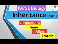 inheritance part 1 Chromosomes genes alleles IGCSE biology