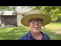 Download Lagu Summer Lovin’ - a Whirlwind of Activity: Cedar Grove Restoration Episode 15
