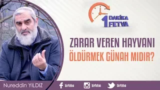 Zarar veren hayvanı öldürmek günah mıdır?