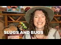 Download Lagu Side-by-Side Preschool: Slugs and Bugs