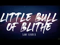 Sam Fender - Little Bull Of Blithe (Lyrics) 1 Hour