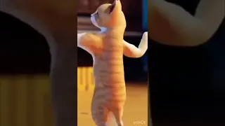 فطوم فطوم فطوم دندنها