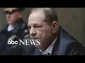 Video di Stunned Harvey Weinstein jailed after guilty verdict | WNT