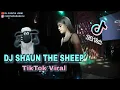 Download Lagu DJ SHAUN THE SHEEP TIKTOK VIRAL 2020! REMIX FULL BASS (DJ CHINTIA JOEM)