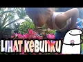Download Lagu LIHAT KEBUNKU