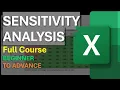 Sensitivity Analysis in Excel Full Course A Beginner s Guide