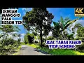 Download Lagu Jual Tanah Pinggir Jalan Pemandangan Bagus Udara Cukup Dingin Luas 9362 m2 Kebun Teh Pala Durian