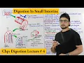 Digestion in small intestine