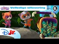 Download Lagu 🎆 Vuurwerk Angst | Super Katjes | Volledige Aflevering | Disney Junior België-Nederland