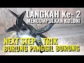 LANGKAH ke-2 Trik Burung Panggil Burung - Merebut Anakan Walet Tetangga