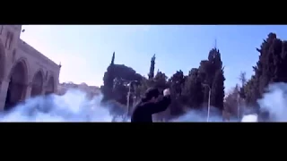 علي راسك بالعالي انت فلسطيني 