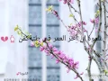 هكذا الدنيا تدور 🌸 محمد الشحي