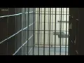 Sheriff Knox County jail is 250 people over capacity