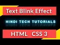 Neon Text Blinking Effect Using CSS 3 - Hindi