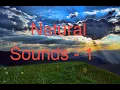 Download Lagu Natural Sounds - Part 1 -- Ek ladki bhigi bhaagisi -- Harmonica -- by Milind