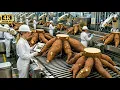 Lagu Inside the 1,000,000 Cassava Plant – The TERRIFYING Rasping of Modern Tapioca Starch Production