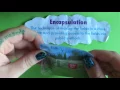 What is Encapsulation IB OOP D 2 1