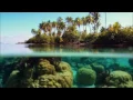 Chris Reece - Keep It Down Original Mix