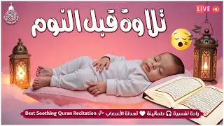 قران كريم بصوت جميل جدا قبل النوم راحة نفسية لا توصف Quran Recitation 