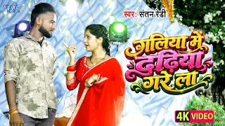 4K Video - गलिया में दढ़िया गरे ला | #Santan Redi, Srishti Bharti | Galiya Me Dadhiya Gare La | Song