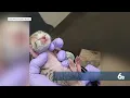 3 male sand cats born at Zoo Boise