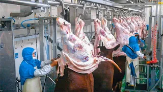 Download Incredible modern pork processing factory technology \u0026 other amazing farming poultry production MP3
