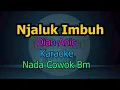 Download Lagu NJALUK IMBUH DIAN ANIC KARAOKE NADA COWOK