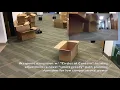 Circles Of Concern Obstacle Avoidance Algorithm