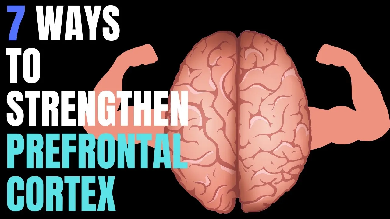 7 Ways You Can Strengthen Prefrontal Cortex