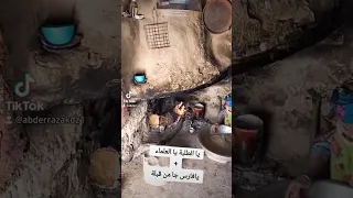                           دندنها