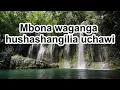 Mose Fan Fan - Papa Lolo (Swahili version)