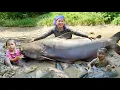 Lagu Harvesting 2000+ Giant Catfish \u0026 Carp from Mud Pond by Hand | Family Farm Life with My Children