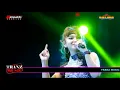 Download Lagu New Palapa - Demi Kowe  \