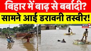 Bihar Flood News : बिहार में बाढ़ से बर्बादीं?| Nepal Flood | Glacier Brust | Koshi | Mithila