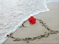 Freddie Jackson - You Are My Lady (with Lyrics)