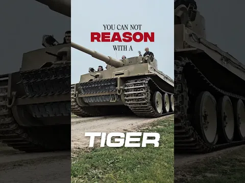 Tiger 131 doing what it does best, #aurafarming in our arena at Tiger Day! #thetankmuseum #tigerday