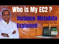 Instance Metadata How Your EC2 Knows Who It Is AWS Tutorial for Beginners