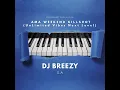 Download Lagu AMA WEEKEND KILLSHOT (UnLimited Vibes Next Level) DJ BREEZY S.A 2024