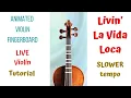 LIVIN' LA VIDA LOCA * SLOWER tempo * Violin Tutorial (Cover) - ANIMATED violin - LIVE VIOLIN