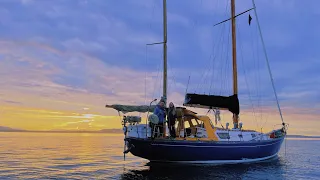 Sailing, Sunsets and SHARKS! Ep 17
