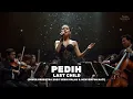 Last Child – Pedih (Cover Orkestra 2025) | Versi Galau \u0026 Menyentuh Hati