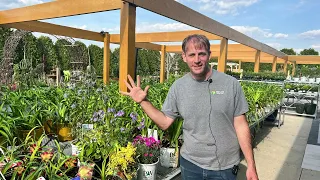 Five Showcase plants for April