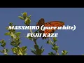Lagu FUJII KAZE - MASSHIRO (pure white) (Easy lyrics)