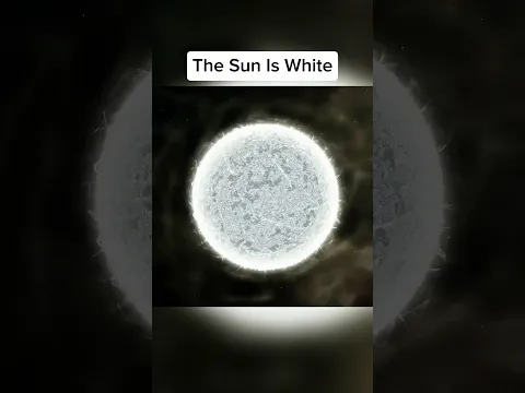 Things They Don't Teach In School 🤯