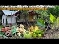 Download Lagu SEPERTI KEHIDUPAN 80/90AN TAPI IMPIAN BANYAK ORANG BISA TINGGAL DI PEDESAAN | BUAT MASAKAN KAMPUNG