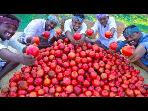 POMEGRANATE JUICE | 100KG Pomegranate Fruits Cutting | Making Fruit Juice in Village | Healthy Drink